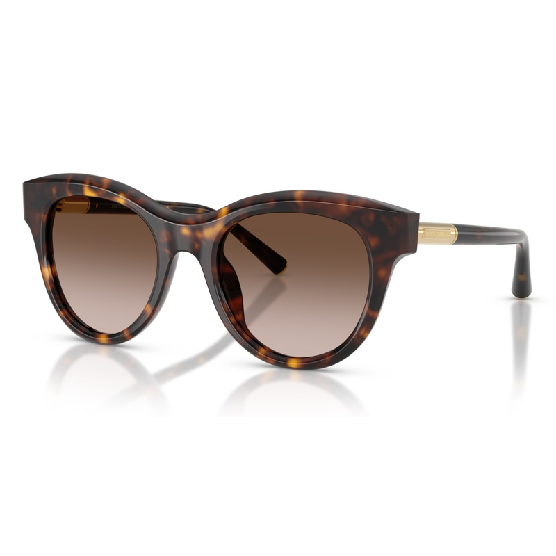 DOLCE E GABBANA 0DG4518-50213