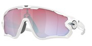 Oakley 0OO9290-21