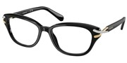 Swarovski Eyewear 0SK2032-1002