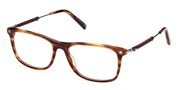 Köp eller förstora dena bild,  Tods Eyewear  TO5266-053.